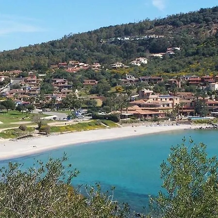 Peonia Àrbatax